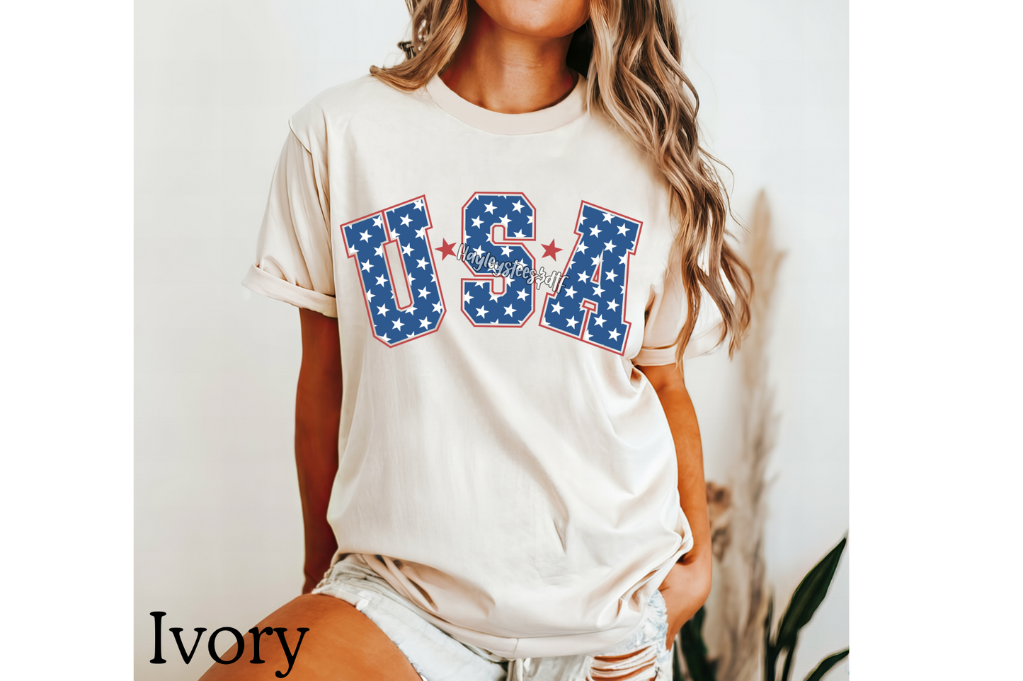 USA T-SHIRT