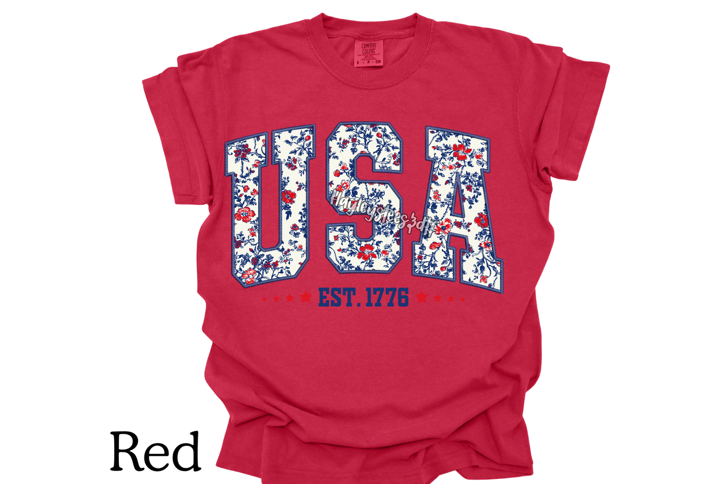 USA T- Shirt