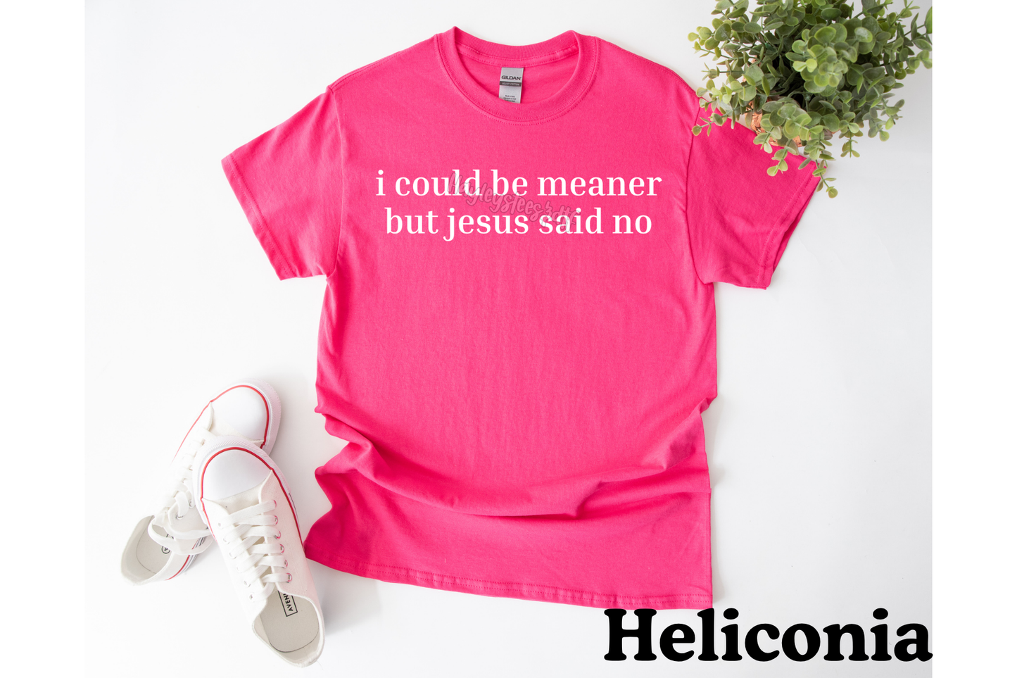 i could be meaner tee