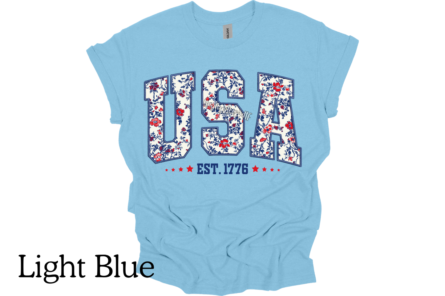 USA T- Shirt