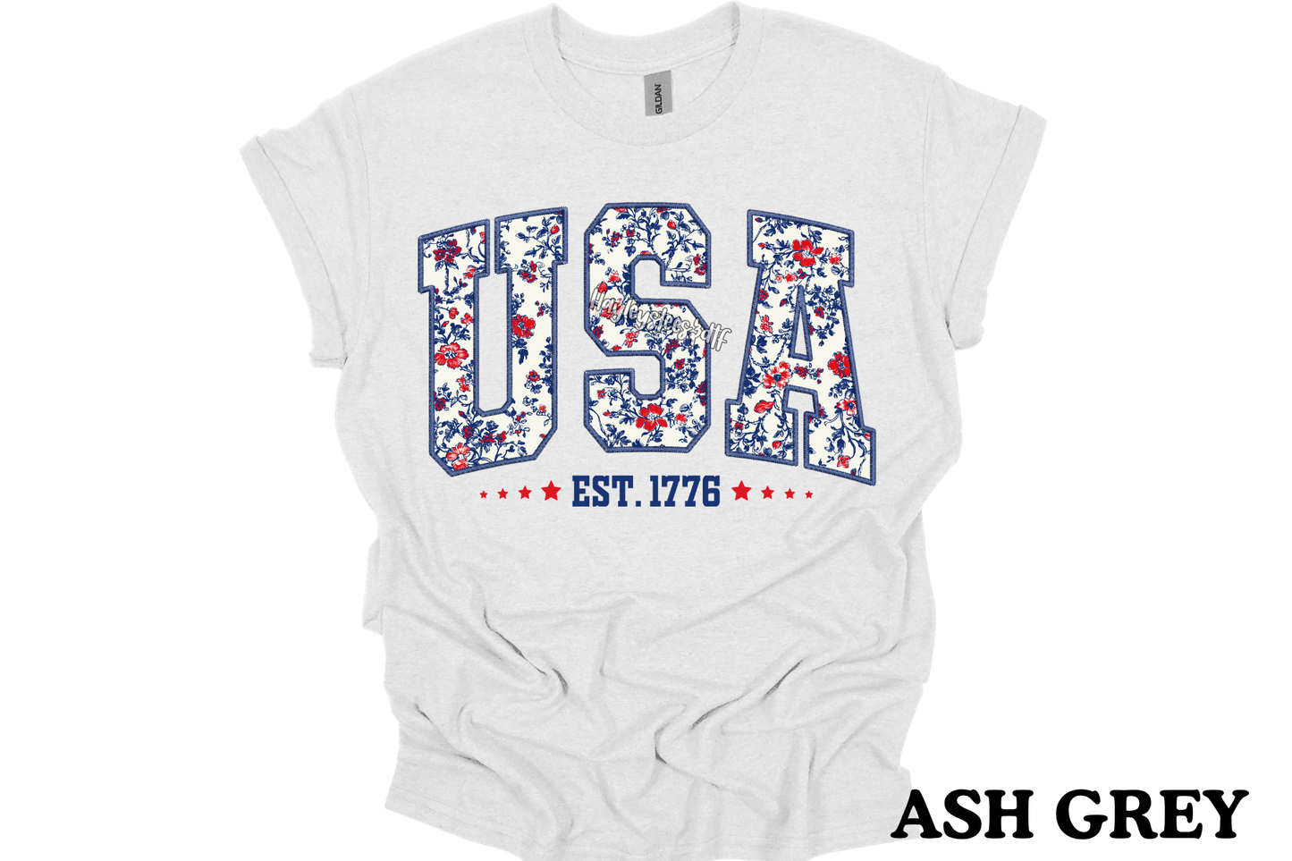USA T- Shirt
