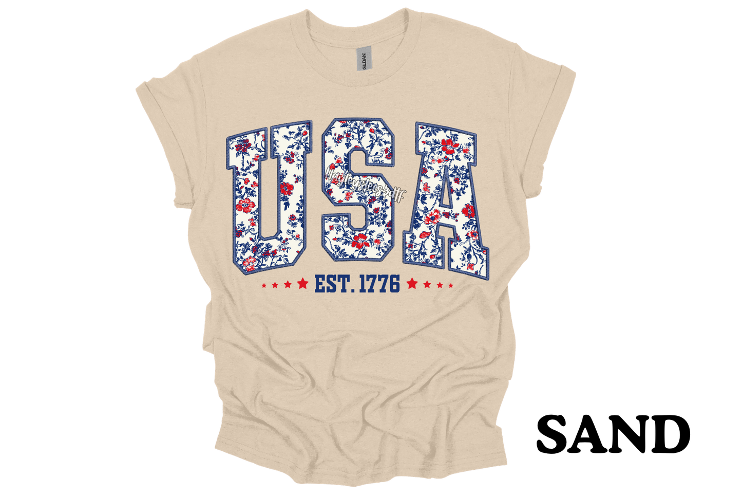 USA T- Shirt