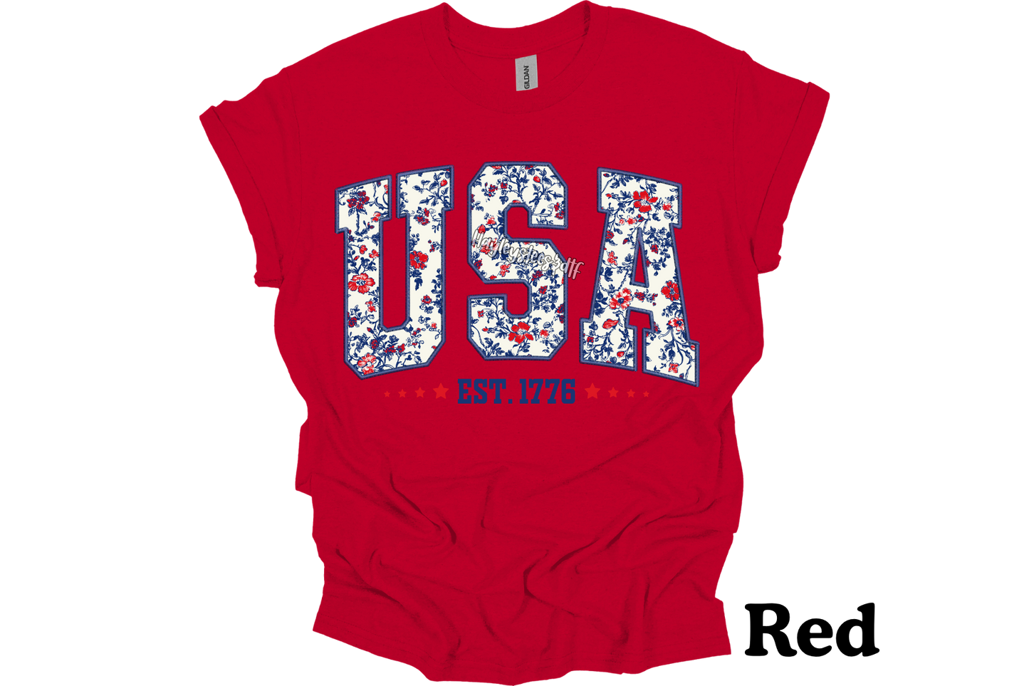 USA T- Shirt
