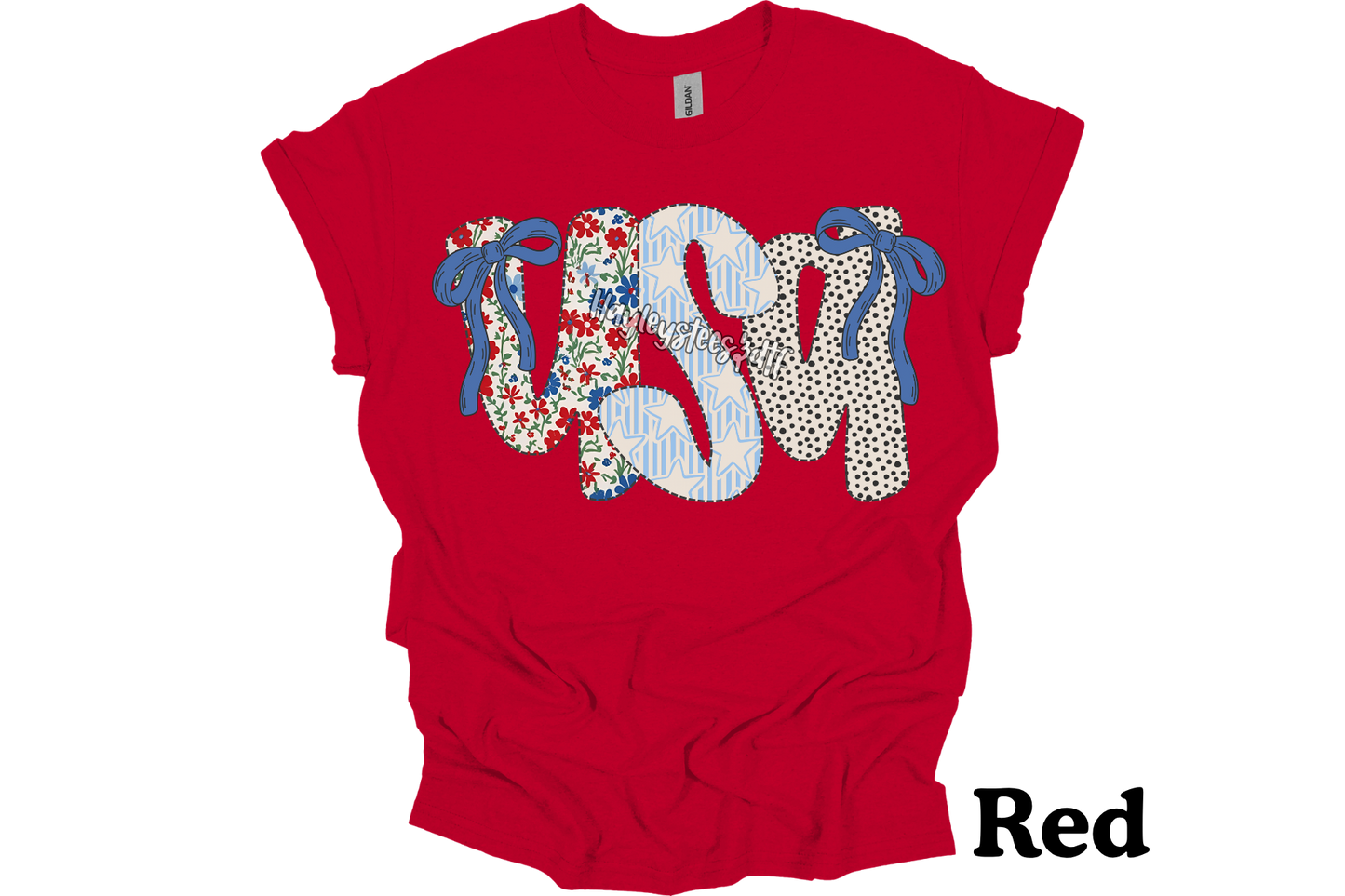 USA T-SHIRT